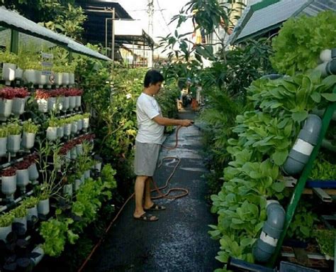 5 Toko Tanaman Dan Peralatan Berkebun Online Di Jakarta