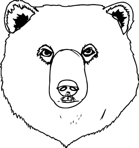 black bear face drawing  getdrawings