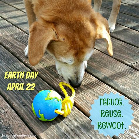 lapdog creations celebrate earth day  planet dog toys earthday