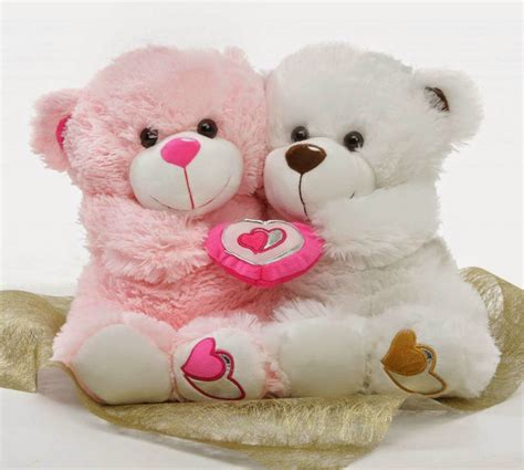cute teddy bear pictures weneedfun