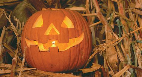 The History Of The Jack O Lantern Dambly S Garden Center