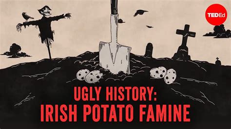 caused  irish potato famine stephanie honchell smith