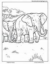 Coloring Pages Animal Elephant Family Mammals Mammal Printable Kids Print Book Drawing Animals Fun Educational Designlooter Drawings Bookmark Three Horses sketch template