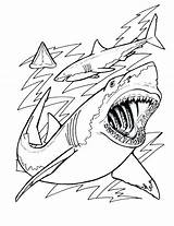 Shark Coloring Scary Pages Getdrawings sketch template