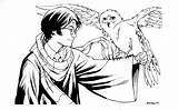 Harry Potter Coloring Pages Owl Easy Quidditch Hedwig Print Book Kiválasztása Tábla Coloringtop sketch template