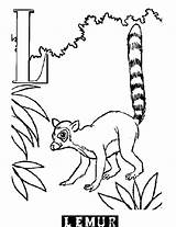 Coloring Lemur Pages sketch template