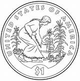 Coloring Dollar Pages Native American Coin Sacagawea Representing Agriculture 2009 Coins Mint Collection sketch template