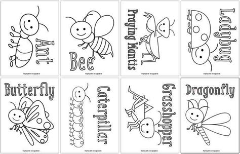 unique bug coloring pages  toddlers  printable insect worksheets