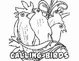 Birds Calling Coloring Pages Days Christmas Freeprintablecoloringpages sketch template