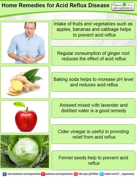 home remedies  acid reflux organic facts