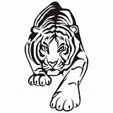 Tiger Face Coloring Pages Clip Getcolorings Stencil Printable Silhouette Binged sketch template
