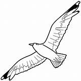 Seagull Coloring Flying Drawing Pages Sky Floating Cartoon Netart Line Printable Clipart Drawings Getcolorings Print Getdrawings Paintingvalley Pag sketch template