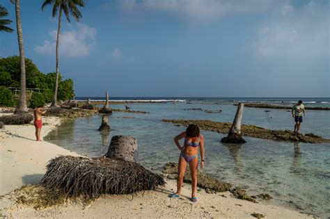 maldives gains tourists  losing  beaches   york times