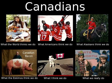 pin by ali wray on laughs canada jokes canada funny canada day
