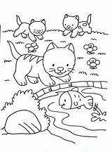 Coloring Cat Kids Cats Pages Print Kittens Cute Animals Fish Playing Simple Color Adult Justcolor Printable Mandala Rainbow Animal Nggallery sketch template