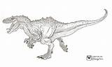 Jurassic Coloring Rex Indominus Pages Park Printable Indominous Spinosaurus Sketchite sketch template