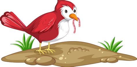 red bird catching worm  cartoon style isolated  vector art