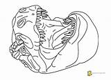 Coloring Pages Puppet Getdrawings Puppets sketch template