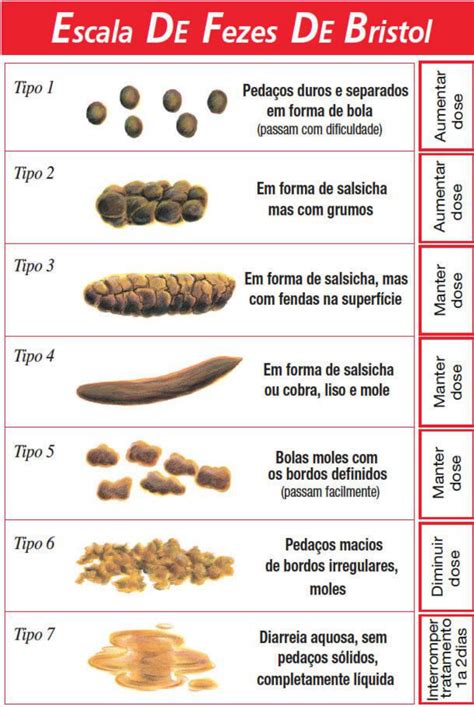 escala de bristol  avaliacao nutricional