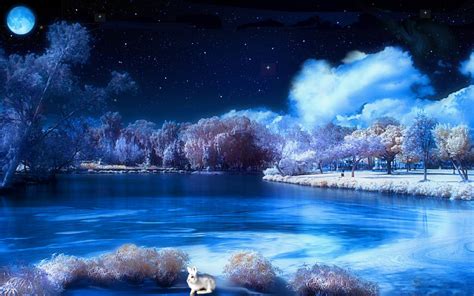 winters night hd desktop wallpaper