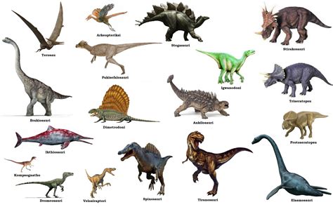 swahili land dinosau dinosaurs