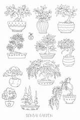 Coloring Bonsai Pages Printable Journal Printables Succulent Sticker Stickers Designlooter Colouring Insert Succulents Planner Drawn Hand Tree Adults 66kb Flower sketch template