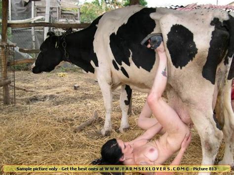 girl fuck cow pictures xxx photo