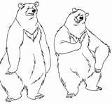 Coloring Bear Pages Printable Kids sketch template