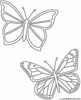 Coloring Butterflies Two Color Kids Bigactivities Insects Borboletas Pages Print Desenhos sketch template
