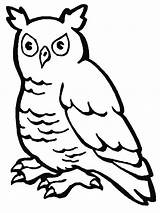 Coruja Owls Outros sketch template