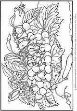 Coloring Pages Still Life Dover Doverpublications Color Paintings Adult Publications Own sketch template