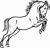 Coloring Horse Jumping sketch template