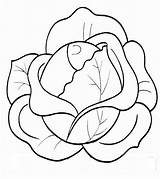 Cabbage Coloring Pages Vegetables Fruits sketch template