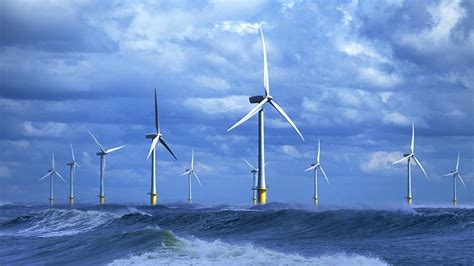 offshore wind    rise     future hold