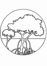 Mangroves Coloring Mangrove Pages Printable Tree Edupics Kids Colouring Forest Large Visit Choose Board Manglar Printablecolouringpages sketch template