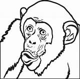 Chimpanzee Coloring Drawing Printable Pencil Face Getcolorings Pages Clipartmag sketch template