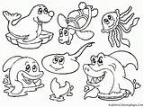 Coloring Pages Ocean Preschool Sea Popular Animal sketch template