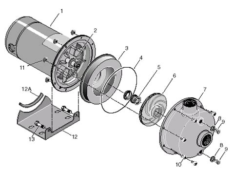 parts  berkeley pump model