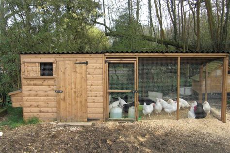 tall poultry house  nestboxes  large adjoining run poultry house duck house walk