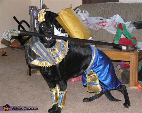 Egyptian God Anubis Female Cosplay Porn Pictures