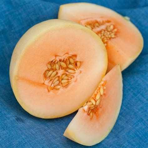 Kolokolo Store 100 Organic Orange Flesh Honeydew Melon