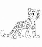 Gepard Ausmalbilder Drucken Geparden Raskrasil Ausdrucken Ausmalbild Malvorlagen Beobachtet Beute sketch template