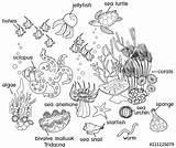 Ecosystem Drawing Marine Coloring Paintingvalley Coral Reef sketch template