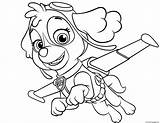 Paw Pages Patrol Coloring Zuma Skye Printable Getcolorings Flying sketch template