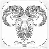 Coloring Aries Zodiac Pattern Book Tattoo Horoscope Drawn Hand Drawings Zentangle Symbol Flowers Line Books Use Vector 38kb 400px sketch template
