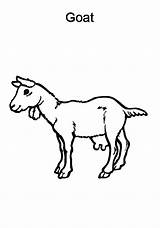 Goat Coloring Pages Chibi Standing Feet Two sketch template