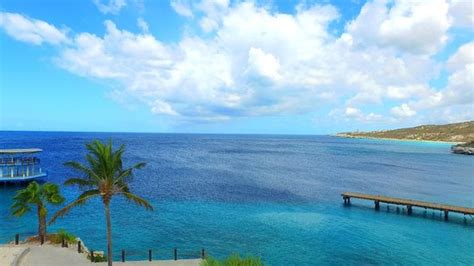 hilton curacao   updated  prices resort reviews willemstad tripadvisor