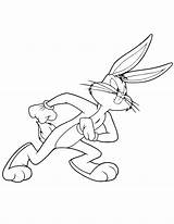 Bunny Bugs Tunes Looney sketch template
