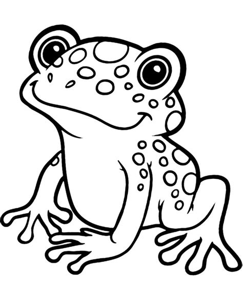 frog sitting   ground coloring page