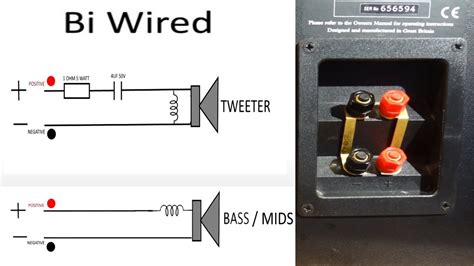 speaker bi wiring explained   improve  sound bi wire hifi audio wired stereo speakers